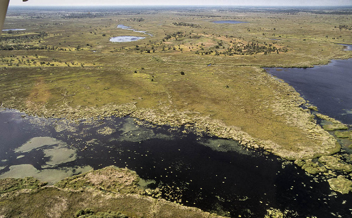 Okavango-Delta Luftbild aerial photo