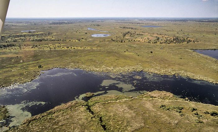 Okavango-Delta Luftbild aerial photo