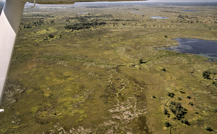 Okavango-Delta Luftbild aerial photo