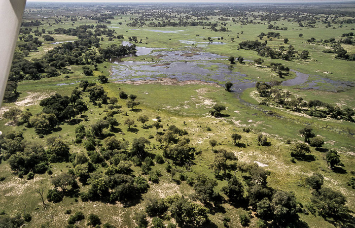 Okavango-Delta Luftbild aerial photo