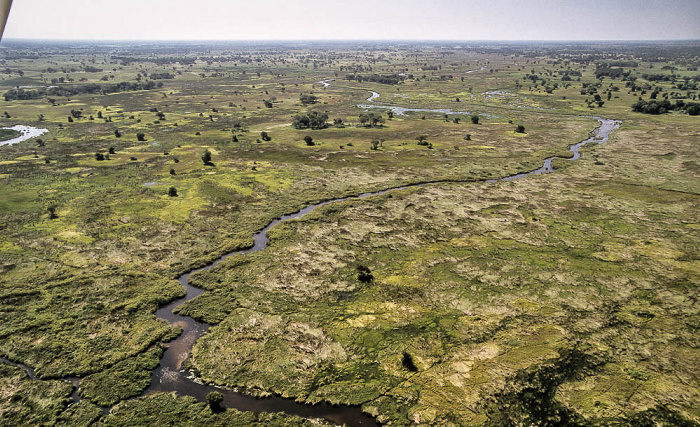 Okavango-Delta Luftbild aerial photo