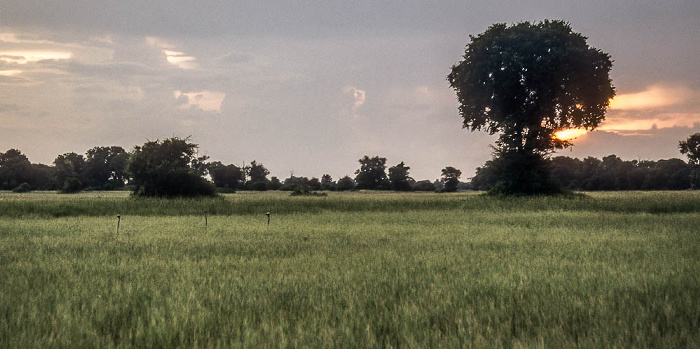 Okavango-Delta