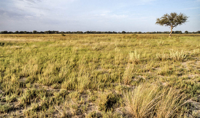 Okavango-Delta