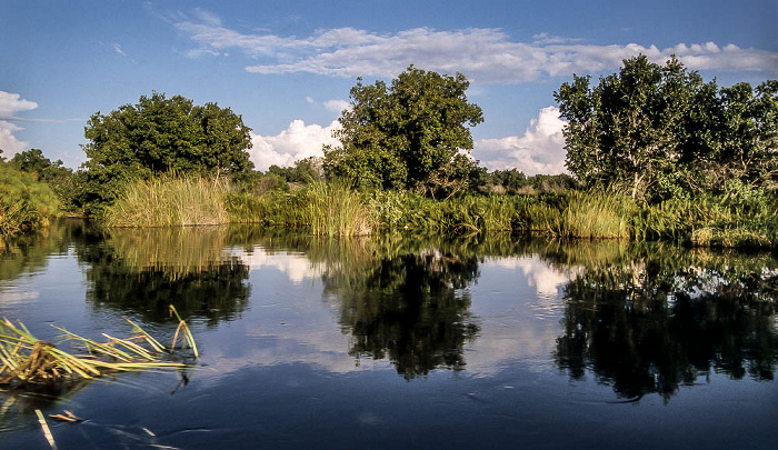 Okavango-Delta