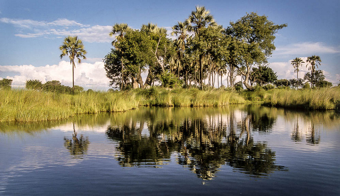 Okavango-Delta