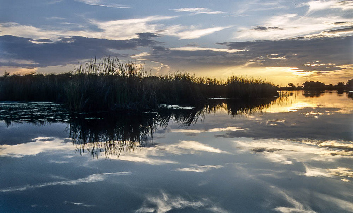 Okavango-Delta