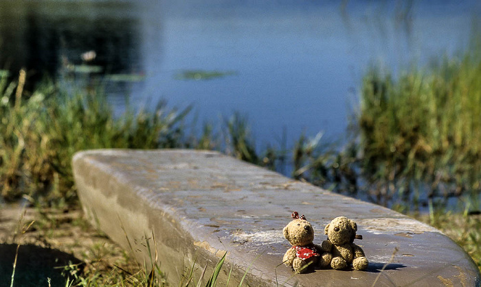 Okavango-Delta Teddine und Teddy