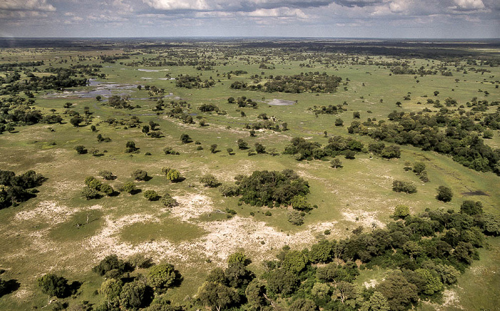 Okavango-Delta Luftbild aerial photo