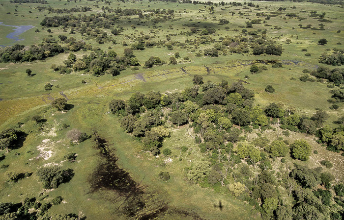 Okavango-Delta Luftbild aerial photo