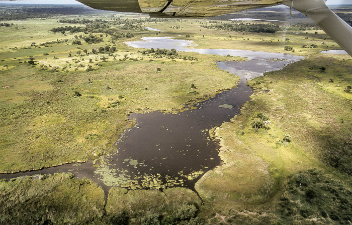 Okavango-Delta Luftbild aerial photo