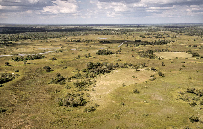 Okavango-Delta Luftbild aerial photo