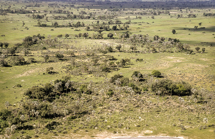 Okavango-Delta Luftbild aerial photo