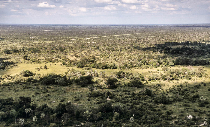 Okavango-Delta Luftbild aerial photo