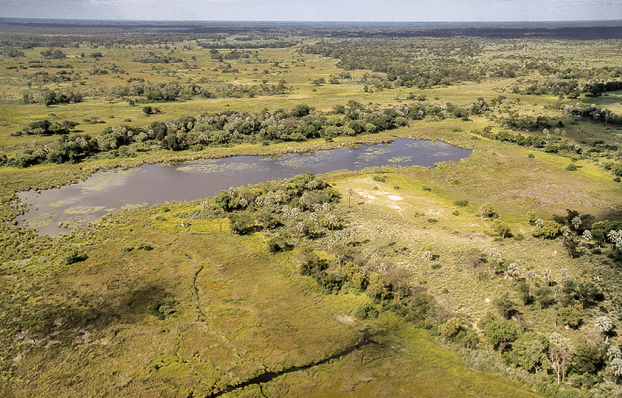 Okavango-Delta Luftbild aerial photo