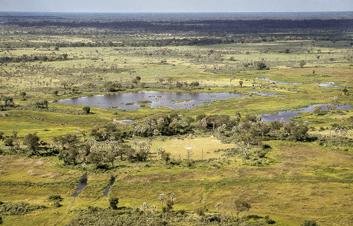 Okavango-Delta Luftbild aerial photo