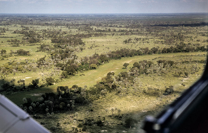 Okavango-Delta Luftbild aerial photo