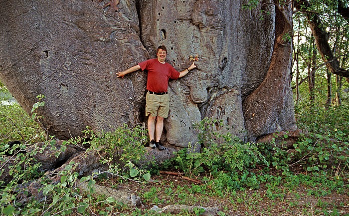 Gweta Planet Baobab Camping: Jürgen mit Teddy und Teddine vor Affenbrotbaum (Baobab)