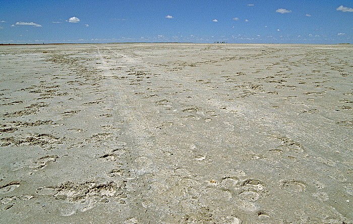 Makgadikgadi-Pfannen