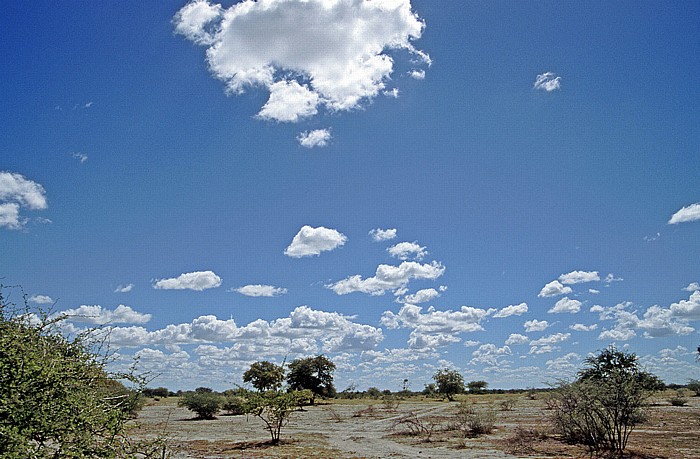 Makgadikgadi-Pfannen