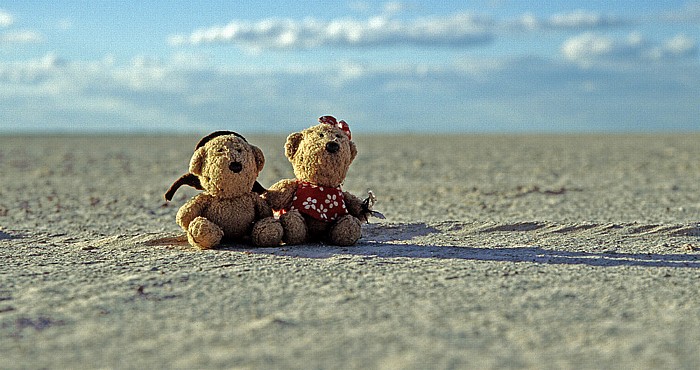 Makgadikgadi-Pfannen Teddy und Teddine