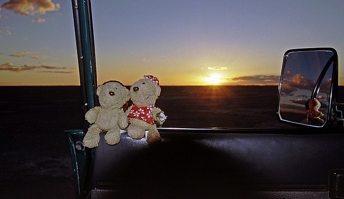 Makgadikgadi-Pfannen Teddy und Teddine