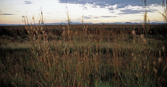 Straße Otavi - Grootfontein Namibia