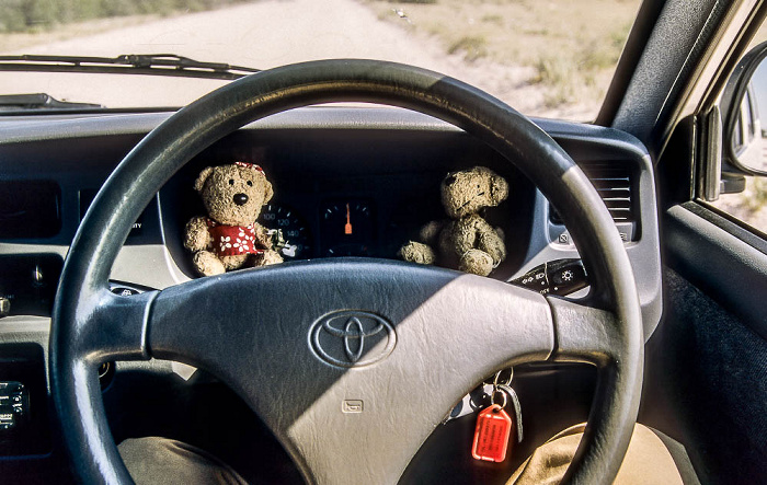 Etosha-Nationalpark Teddine und Teddy im Mietwagen