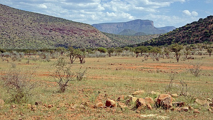 Kaokoveld