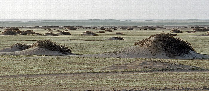 Namib