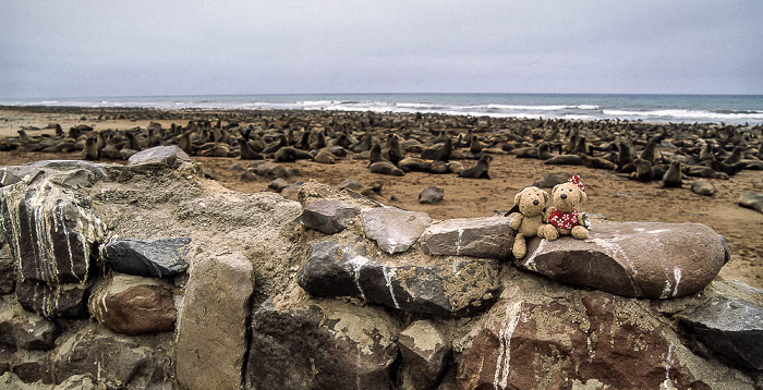 Cape Cross Teddy und Teddine Robbenreservat Kreuzkap