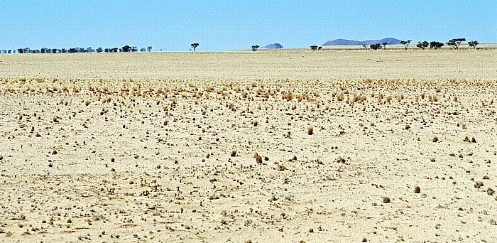 Namib