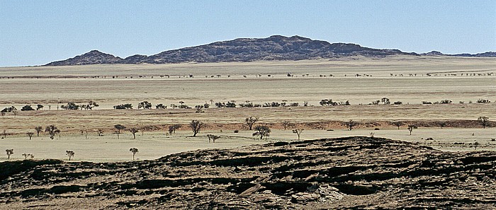 Namib