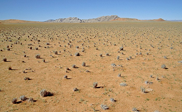 Namib