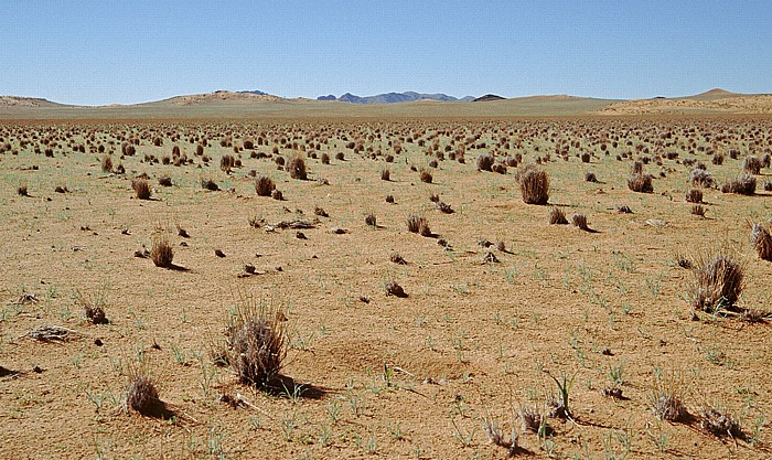 Namib