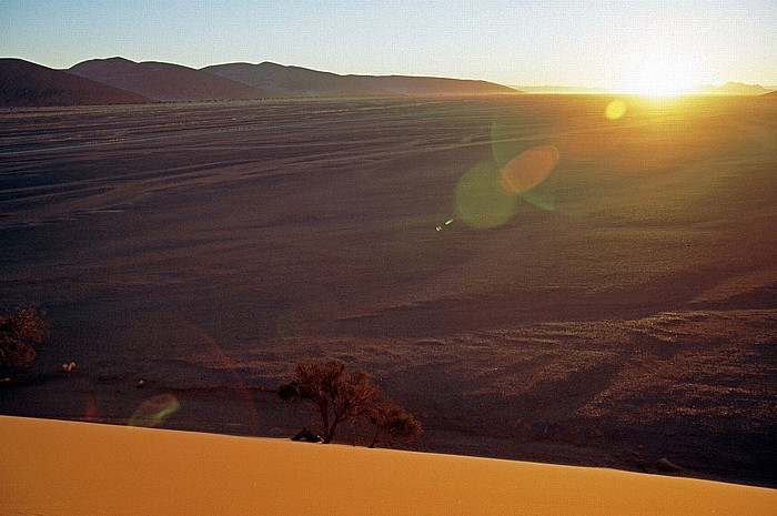 Düne 45 Namib-Naukluft-Nationalpark