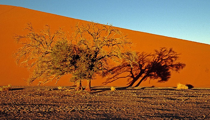 Namib-Naukluft-Nationalpark Düne 45