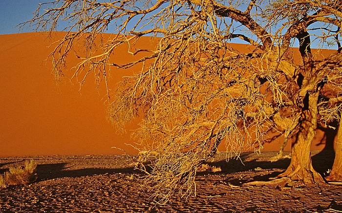 Namib-Naukluft-Nationalpark Düne 45