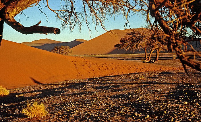 Düne 45 Namib-Naukluft-Nationalpark