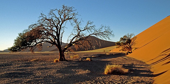 Namib-Naukluft-Nationalpark Düne 45