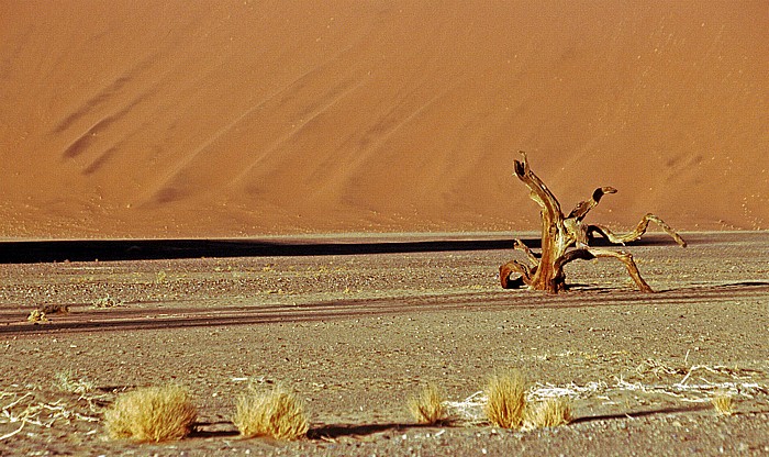 Namib-Naukluft-Nationalpark Düne 45