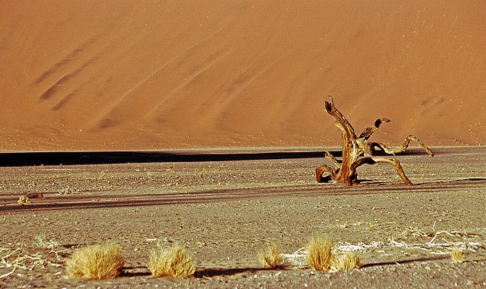 Düne 45 Namib-Naukluft-Nationalpark