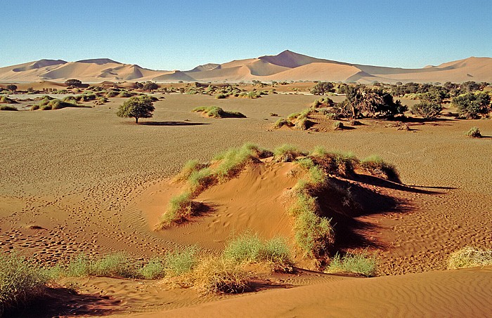 Sossusvlei Namib-Naukluft-Nationalpark