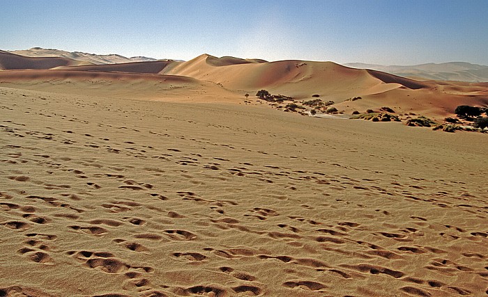 Namib-Naukluft-Nationalpark Sossusvlei