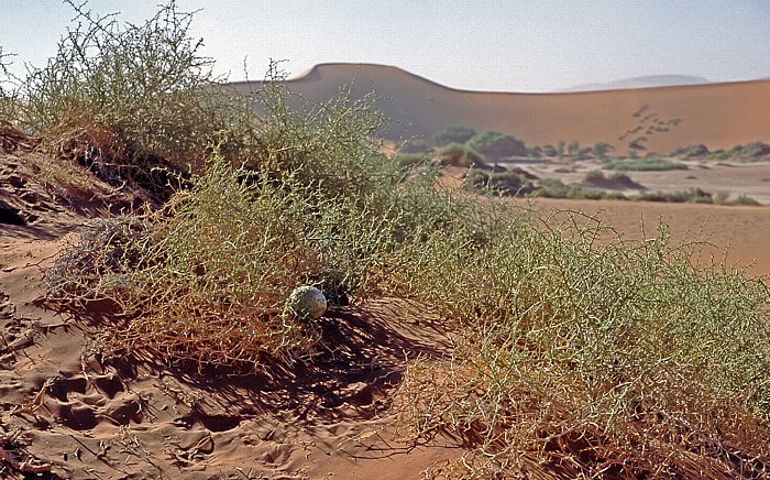 Namib-Naukluft-Nationalpark Sossusvlei