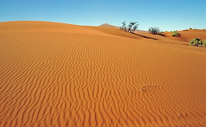 Sossusvlei Namib-Naukluft-Nationalpark