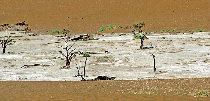 Namib-Naukluft-Nationalpark Deadvlei