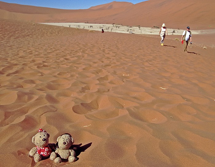 Namib-Naukluft-Nationalpark Deadvlei: Teddine und Teddy
