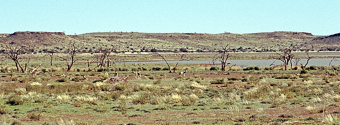 Erholungsgebiet Hardap Wildpark Hardap Reservoir