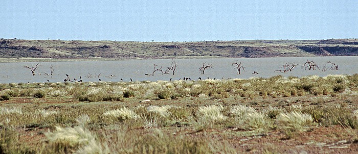 Erholungsgebiet Hardap Wildpark, Hardap Reservoir