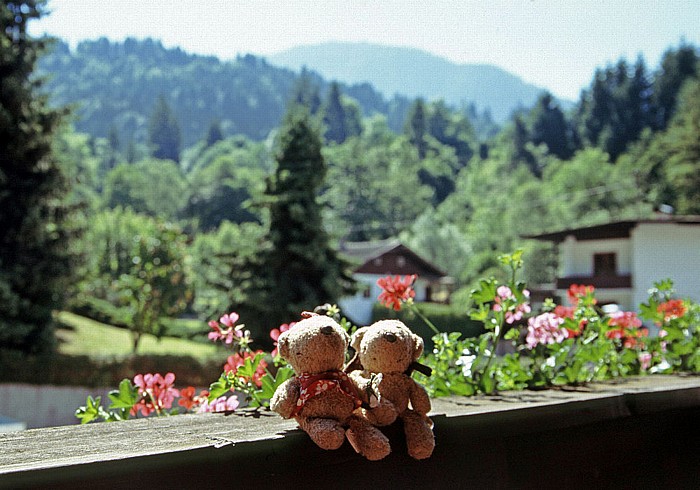 Brixlegg Mehrner Hof: Teddine und Teddy